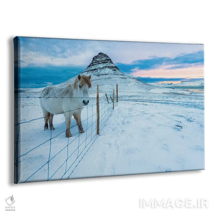 تابلو صبح کرکیوفل (کوه ایسلند) اثر دیوید گارباورر - نمای پرسپکتیو محصول