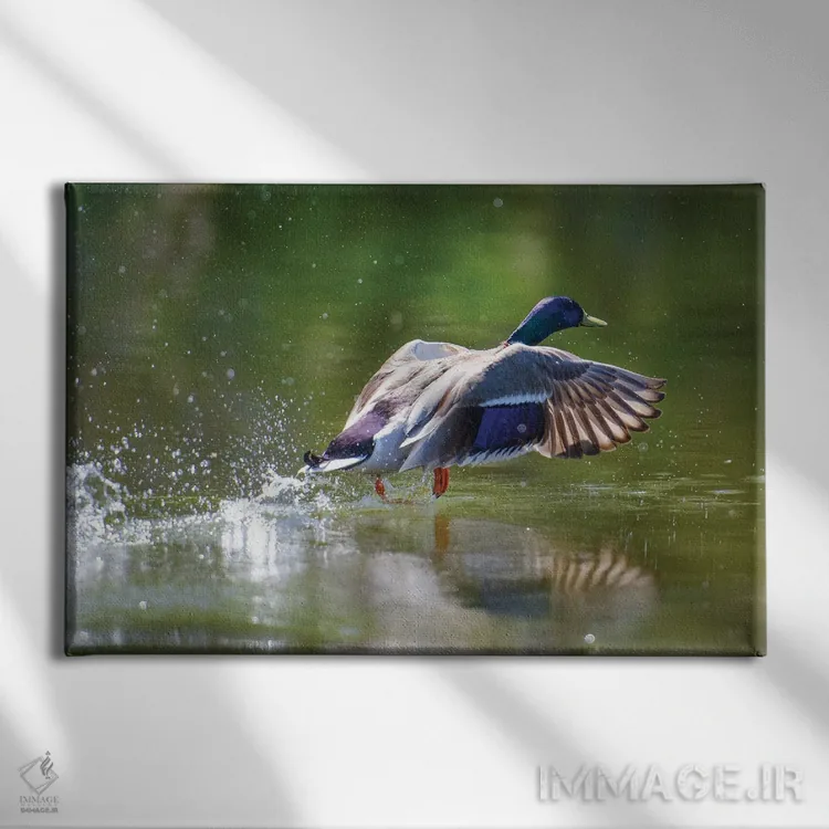 تابلو برخاستن (پرواز) اثر دیوید گارباورر - نمای روبهرو روی دیوار