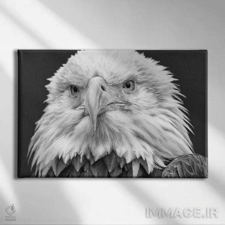 تابلو تو را میبینم! اثر دیوید گارباورر - نمای روبهرو روی دیوار