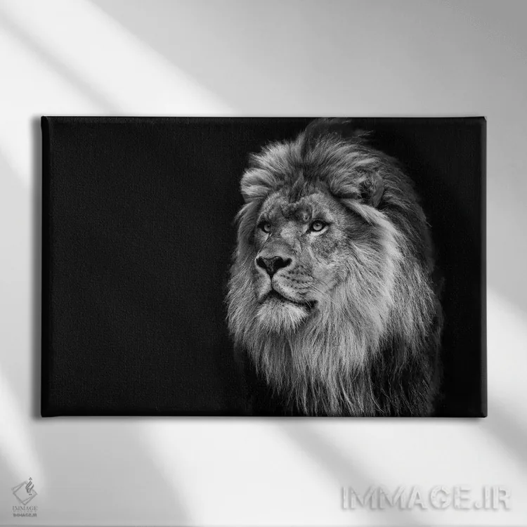 تابلو باشکوه در سیاه و سفید اثر دیوید گارباورر - نمای روبهرو روی دیوار