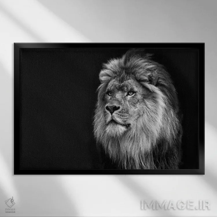 تابلو باشکوه در سیاه و سفید اثر دیوید گارباورر - نمای قابدار مشکی