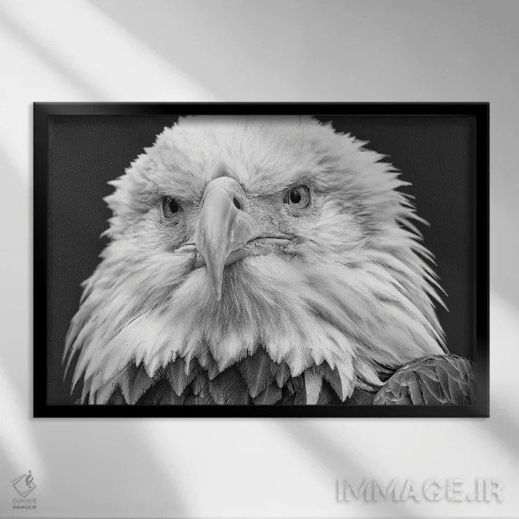 تابلو تو را میبینم! اثر دیوید گارباورر - نمای قابدار مشکی