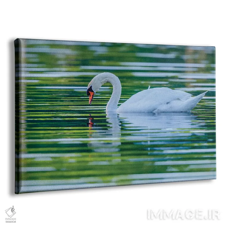 تابلو انعکاس صبحگاهی اثر دیوید گارباورر - نمای پرسپکتیو محصول