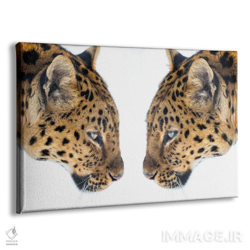 تابلو آینهای شده اثر دیوید گارباورر - نمای پرسپکتیو محصول