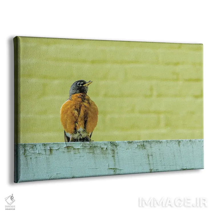 تابلو روبین ژست گرفته (پرنده) اثر دیوید گارباورر - نمای پرسپکتیو محصول