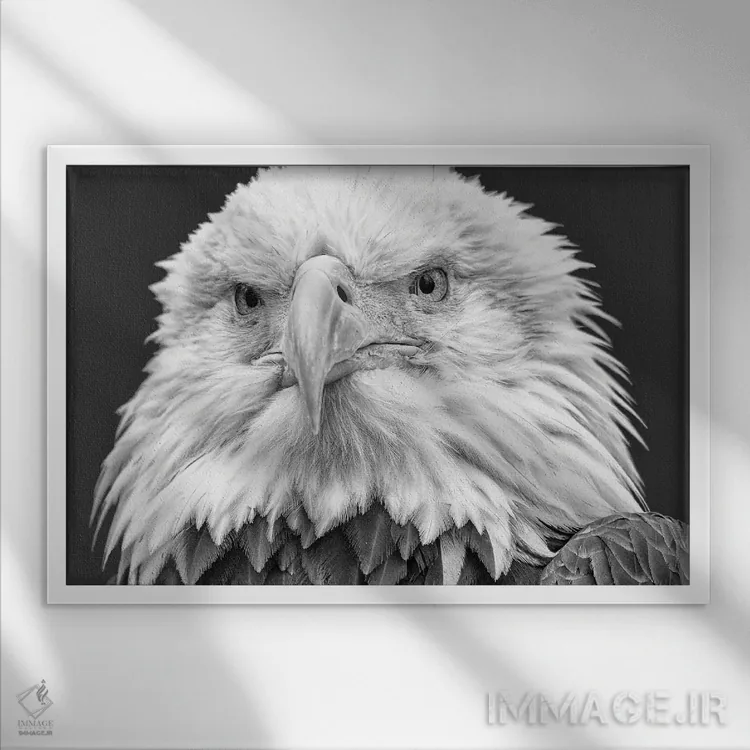 تابلو تو را میبینم! اثر دیوید گارباورر - نمای قابدار سفید