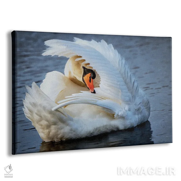 تابلو پرآرایی (رفتار پرندگان) اثر دیوید گارباورر - نمای پرسپکتیو محصول