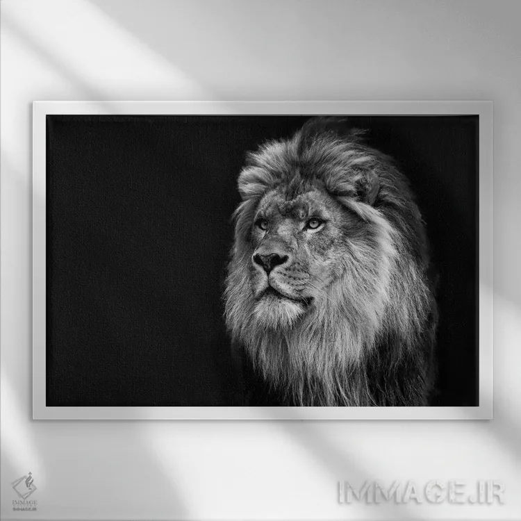 تابلو باشکوه در سیاه و سفید اثر دیوید گارباورر - نمای قابدار سفید