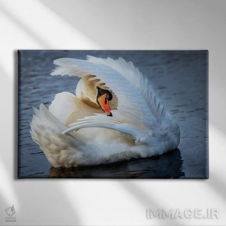 تابلو پرآرایی (رفتار پرندگان) اثر دیوید گارباورر - نمای روبهرو روی دیوار