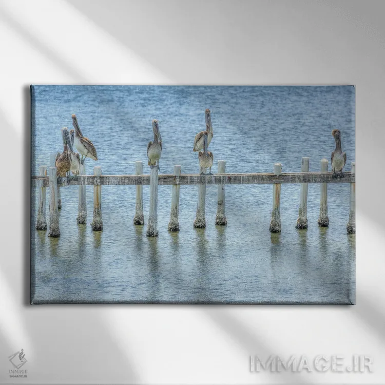 تابلو اسکلهٔ پلیکان اثر دیوید گارباورر - نمای روبهرو روی دیوار