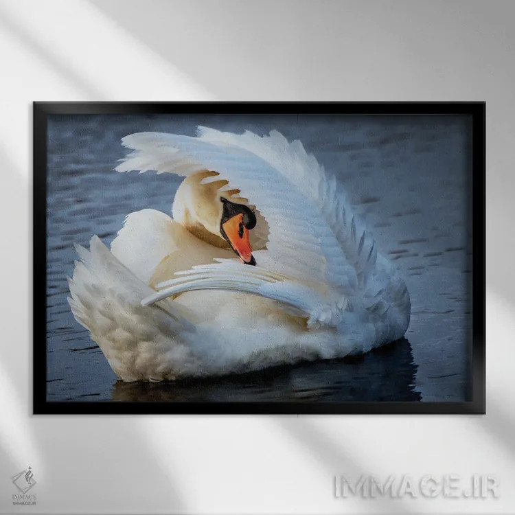 تابلو پرآرایی (رفتار پرندگان) اثر دیوید گارباورر - نمای قابدار مشکی