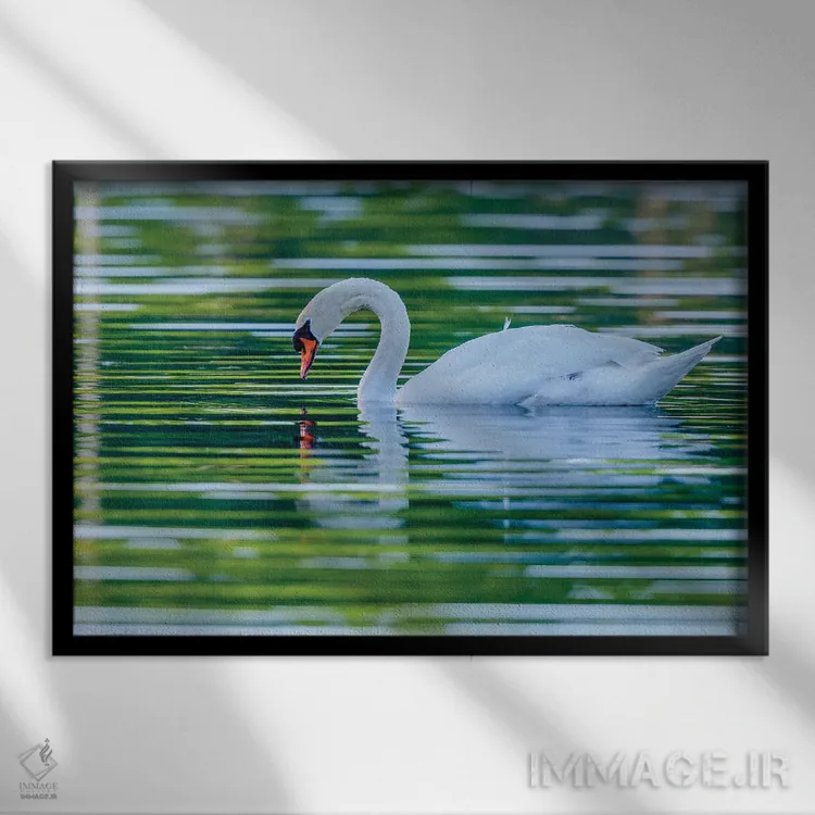 تابلو انعکاس صبحگاهی اثر دیوید گارباورر - نمای قابدار مشکی