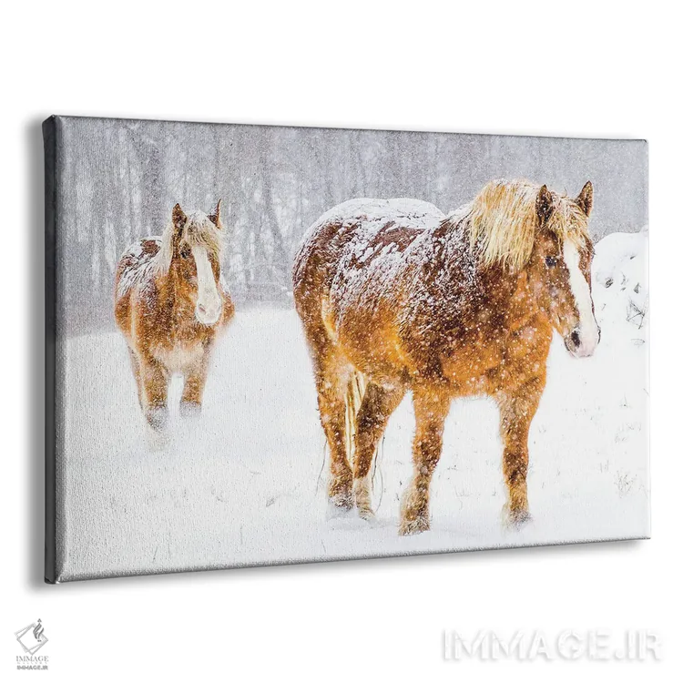 تابلو بلژیکی دئو (اسب) اثر دیوید گارباورر - نمای پرسپکتیو محصول