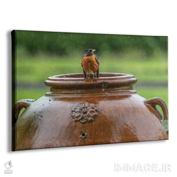 تابلو روبین روی گلدان (پرنده) اثر دیوید گارباورر - نمای پرسپکتیو محصول