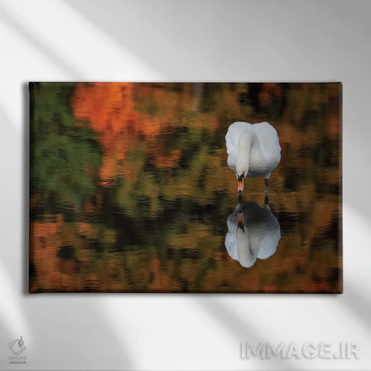 تابلو قوی انعکاسی اثر دیوید گارباورر - نمای روبهرو روی دیوار