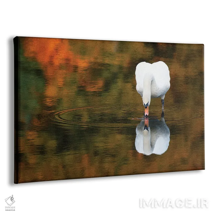 تابلو قوی انعکاسی ۲ اثر دیوید گارباورر - نمای پرسپکتیو محصول