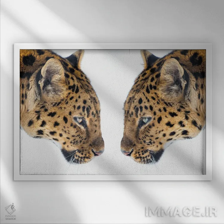 تابلو آینهای شده اثر دیوید گارباورر - نمای قابدار سفید