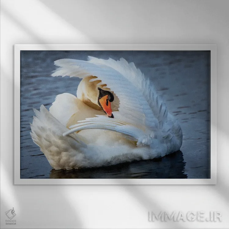 تابلو پرآرایی (رفتار پرندگان) اثر دیوید گارباورر - نمای قابدار سفید