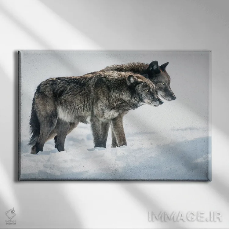 تابلو کنار هم اثر دیوید گارباورر - نمای روبهرو روی دیوار