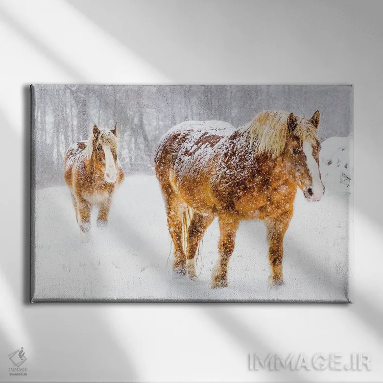 تابلو بلژیکی دئو (اسب) اثر دیوید گارباورر - نمای روبهرو روی دیوار