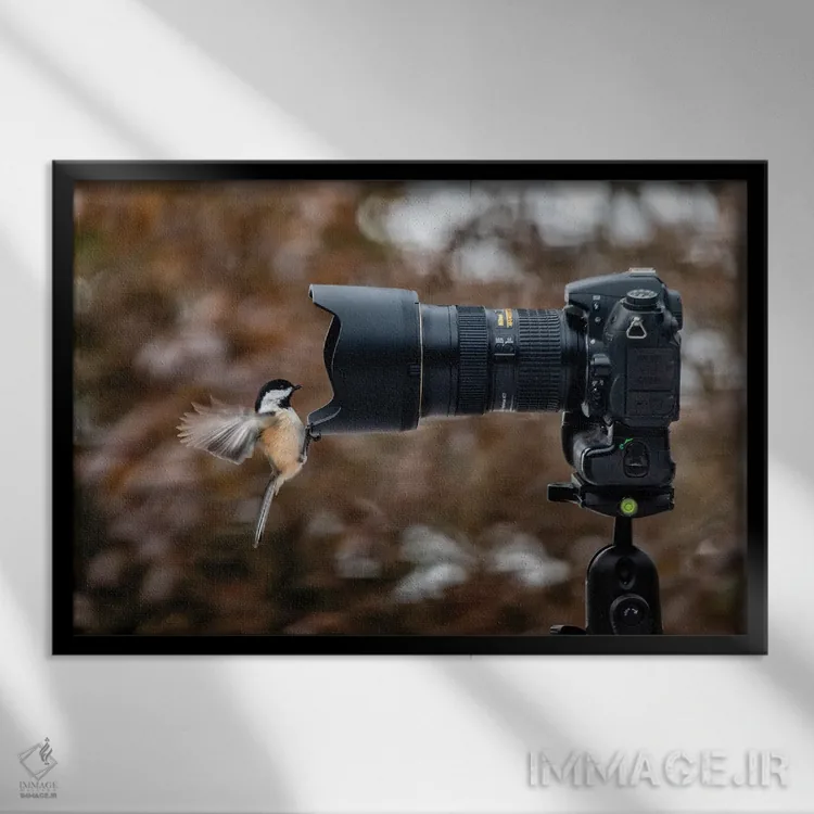 تابلو لبخند اثر دیوید گارباورر - نمای قابدار مشکی