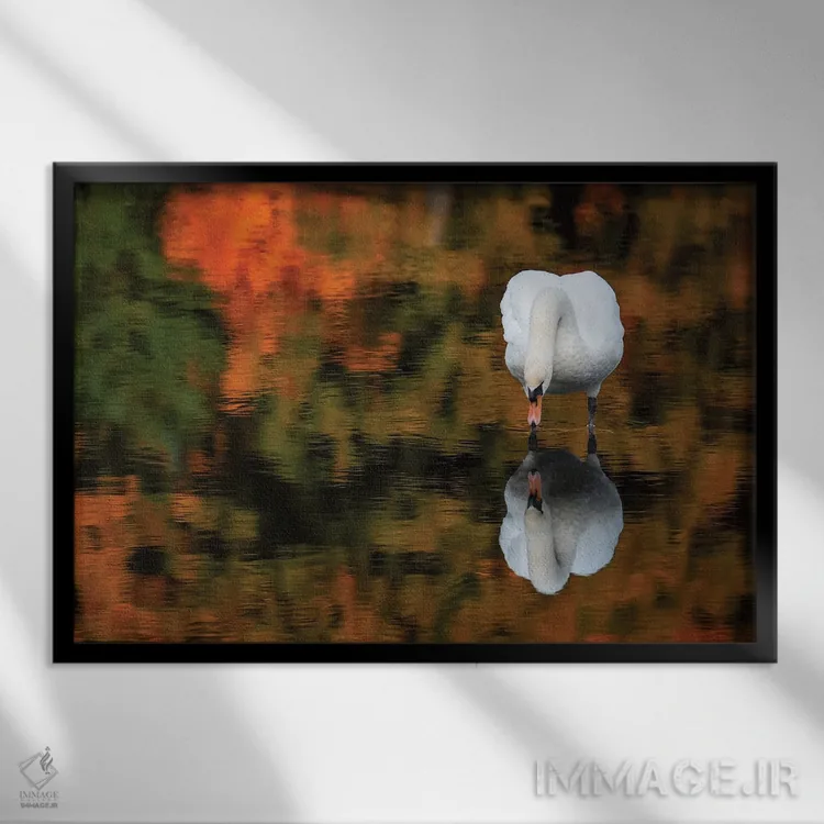 تابلو قوی انعکاسی اثر دیوید گارباورر - نمای قابدار مشکی