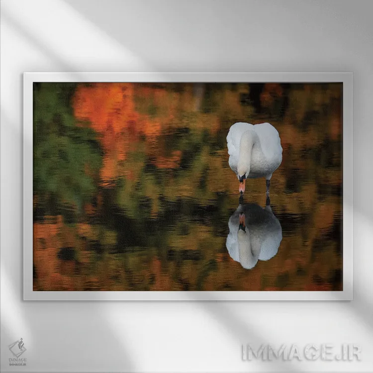 تابلو قوی انعکاسی اثر دیوید گارباورر - نمای قابدار سفید