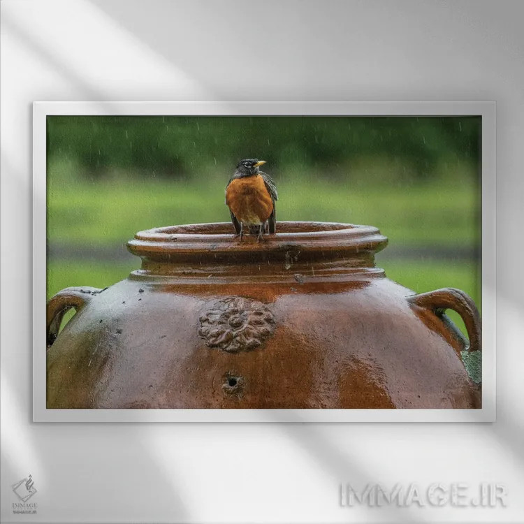 تابلو روبین روی گلدان (پرنده) اثر دیوید گارباورر - نمای قابدار سفید