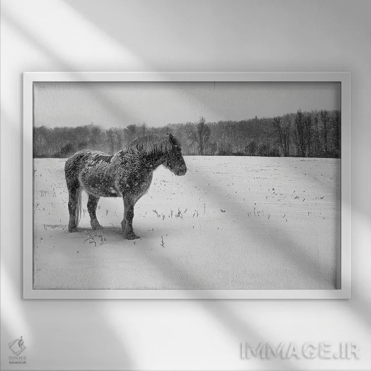 تابلو بلژیکی سیاه و سفید (اسب/گاو) اثر دیوید گارباورر - نمای قابدار سفید