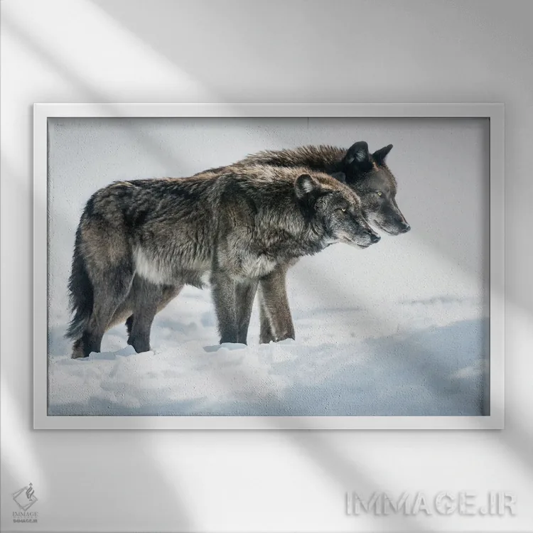 تابلو کنار هم اثر دیوید گارباورر - نمای قابدار سفید