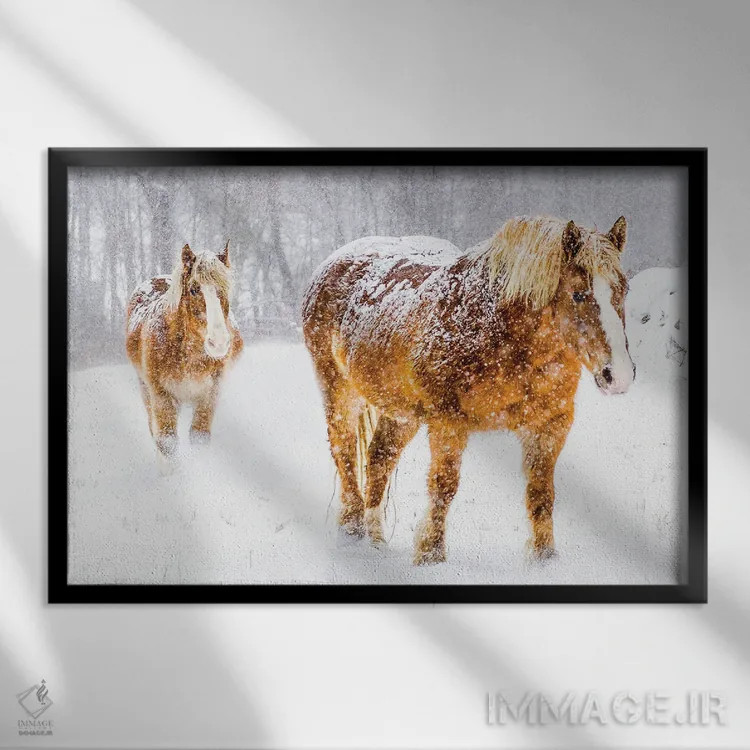 تابلو بلژیکی دئو (اسب) اثر دیوید گارباورر - نمای قابدار مشکی