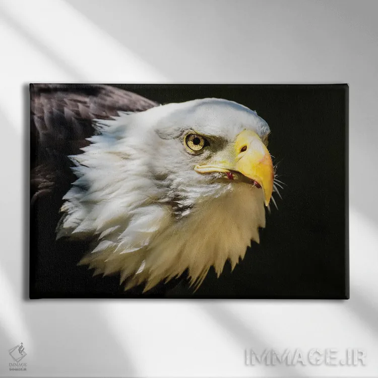 تابلو آن نگاه اثر دیوید گارباورر - نمای روبهرو روی دیوار