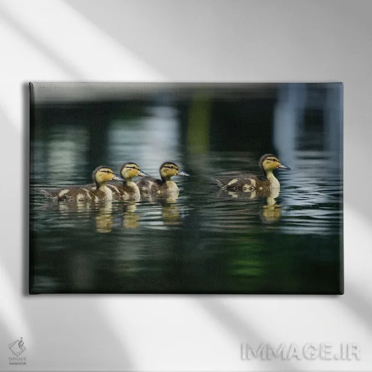 تابلو مامان کجاست؟ اثر دیوید گارباورر - نمای روبهرو روی دیوار