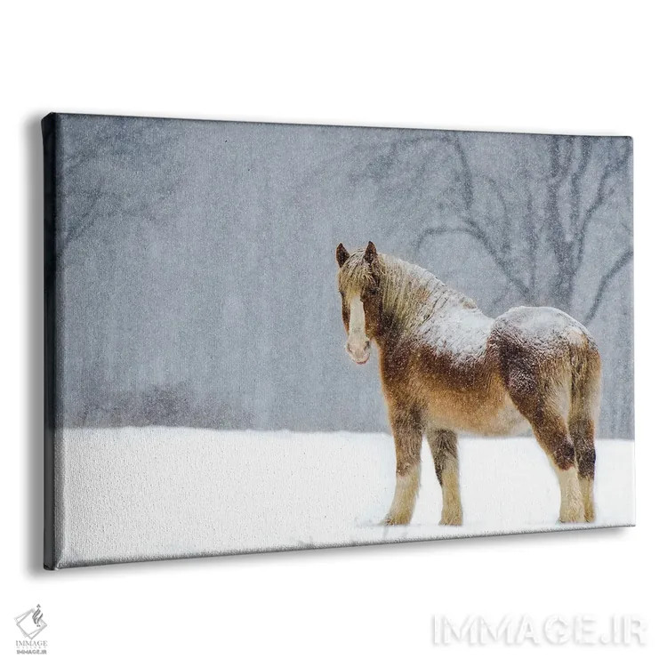 تابلو برف بلژیکی ۲ (اسب) اثر دیوید گارباورر - نمای پرسپکتیو محصول