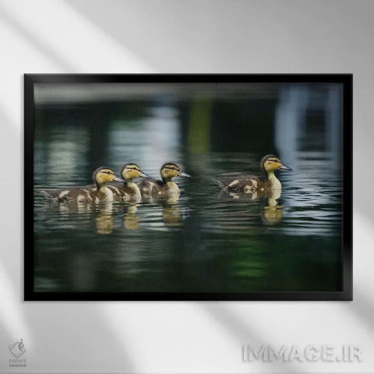 تابلو مامان کجاست؟ اثر دیوید گارباورر - نمای قابدار مشکی