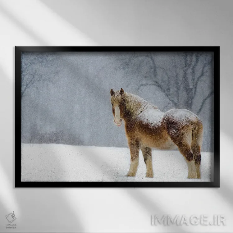 تابلو برف بلژیکی ۲ (اسب) اثر دیوید گارباورر - نمای قابدار مشکی