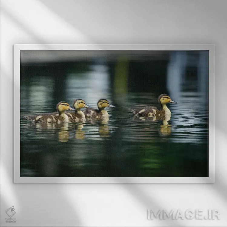 تابلو مامان کجاست؟ اثر دیوید گارباورر - نمای قابدار سفید