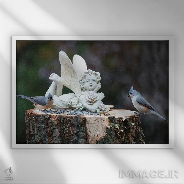 تابلو ناهار پَرخزک (پرنده) اثر دیوید گارباورر - نمای قابدار سفید