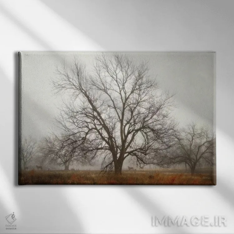 تابلو آرامش صبحگاهی ۱ اثر دبرا ون سوارینجن - نمای روبهرو روی دیوار