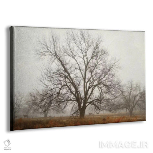 تابلو آرامش صبحگاهی ۱ اثر دبرا ون سوارینجن - نمای پرسپکتیو محصول