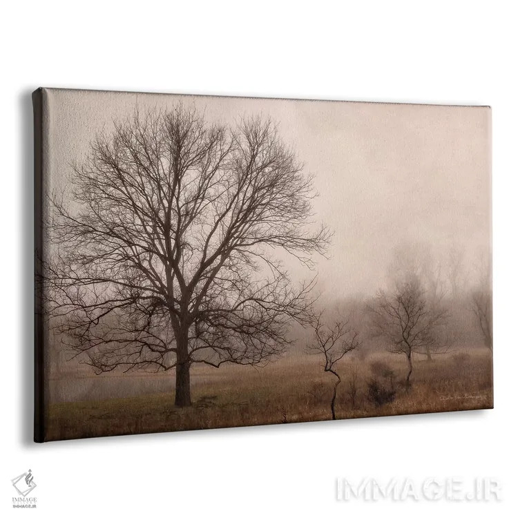 تابلو آرامش صبحگاهی ۴ اثر دبرا ون سوارینجن - نمای پرسپکتیو محصول