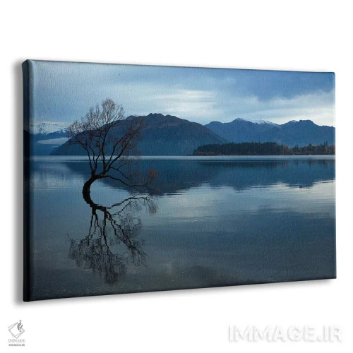 تابلو ابرها و "آن درخت واناکا" در انعکاس آب دریاچه واناکا، اوتاگو، جزیره جنوبی، نیوزیلند اثر دیوید وال - نمای پرسپکتیو محصول