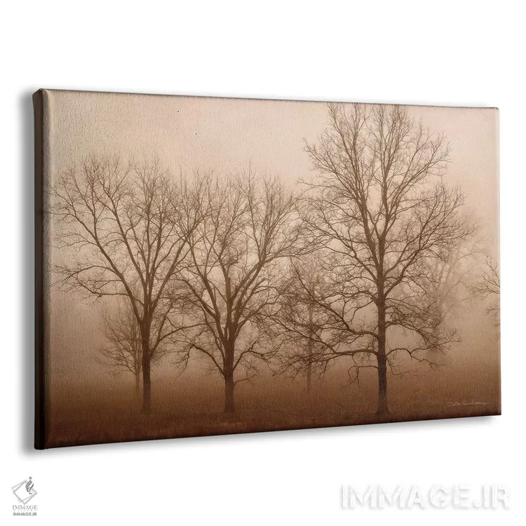 تابلو آرامش صبحگاهی ۳ اثر دبرا ون سوارینجن - نمای پرسپکتیو محصول