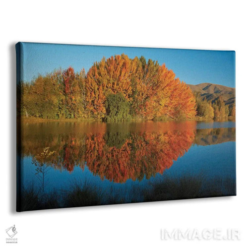 تابلو انعکاس پاییزی در برکه کلندز، منطقه ساوت کنتربری، جزیره جنوبی، نیوزیلند II اثر دیوید وال - نمای پرسپکتیو محصول
