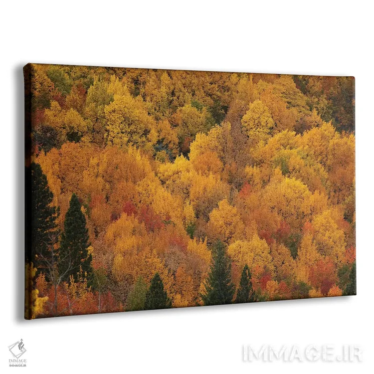 تابلو رنگهای پاییزی، اروتاون، نزدیک کویینزتاون، اوتاگو، جزیره جنوبی، نیوزیلند اثر دیوید وال - نمای پرسپکتیو محصول