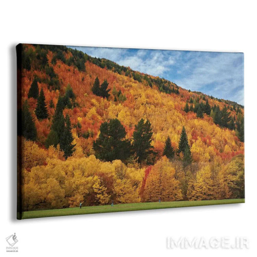 تابلو درختان پاییزی و ویلکاکس گرین، اروتاون، نزدیک کویینزتاون، اوتاگو، جزیره جنوبی، نیوزیلند اثر دیوید وال - نمای پرسپکتیو محصول