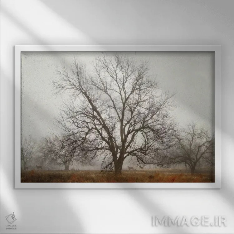 تابلو آرامش صبحگاهی ۱ اثر دبرا ون سوارینجن - نمای قابدار سفید