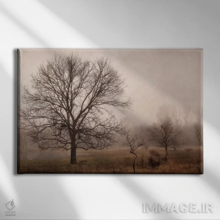 تابلو آرامش صبحگاهی ۴ اثر دبرا ون سوارینجن - نمای روبهرو روی دیوار