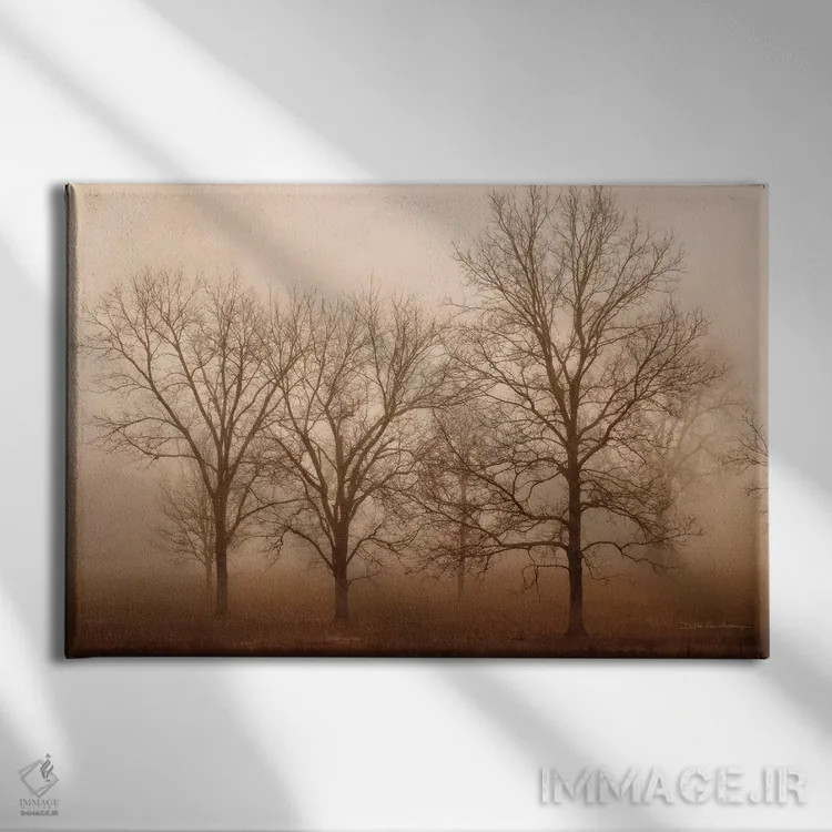 تابلو آرامش صبحگاهی ۳ اثر دبرا ون سوارینجن - نمای روبهرو روی دیوار