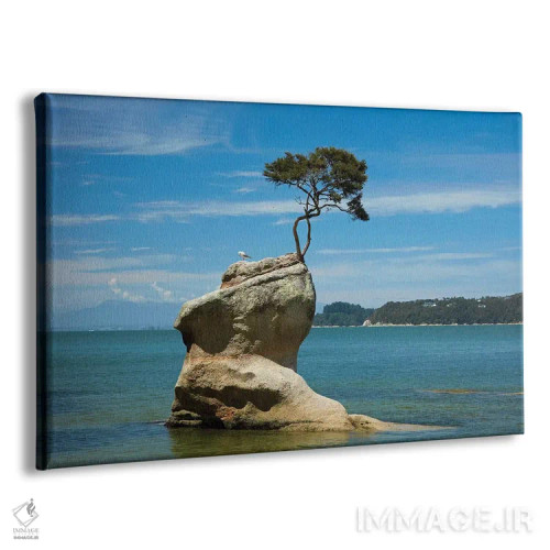 تابلو درخت روی صخره، خلیج تینلاین، پارک ملی ابل تاسمان، منطقه نلسون، جزیره جنوبی، نیوزیلند اثر دیوید وال - نمای پرسپکتیو محصول